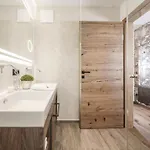 Apartment Platzhirsch Apart&mayrhofen *