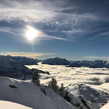 Platzhirsch & Apartamento