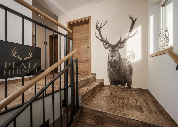 Platzhirsch & Appartement