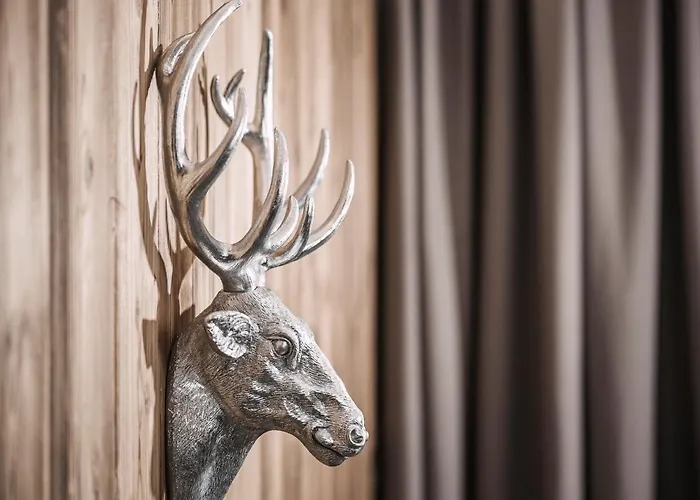 Platzhirsch Apart&mayrhofen