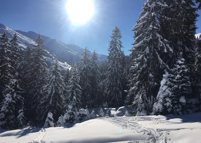 Platzhirsch Apart&mayrhofen Apartment *