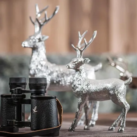 Platzhirsch & Apartment Mayrhofen