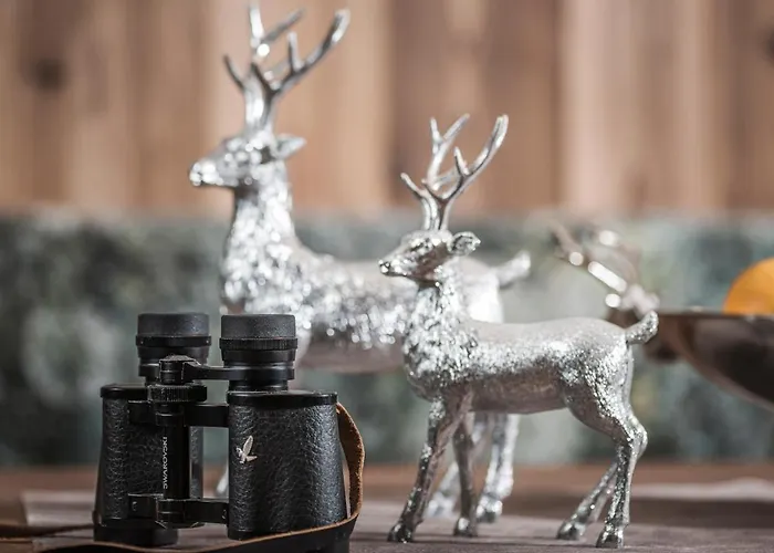 Platzhirsch & Daire Mayrhofen